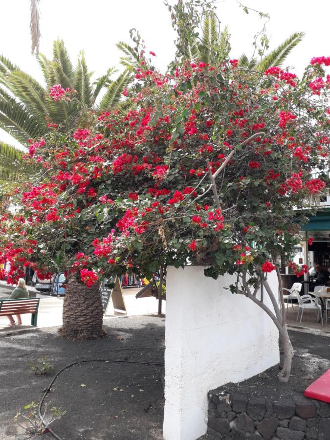 Sunny Self-Catering Apartment Costa Teguise, Lanzarote, Spain ภายนอก รูปภาพ